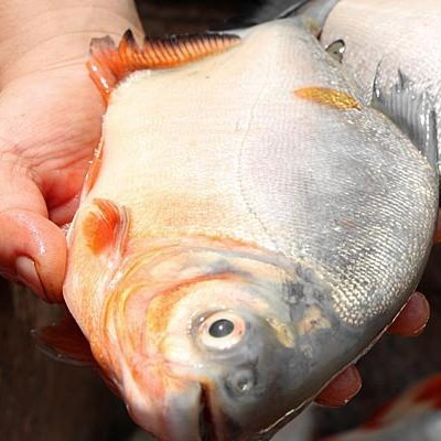 �~(y��)�(l��i)