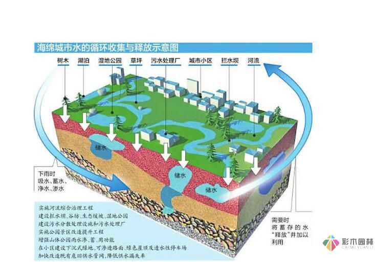 海綿城市建設(shè)理念下的市政道路設(shè)計(jì)技術(shù)指導(dǎo)